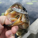 Isca Zara (Stickbait) 10 cm