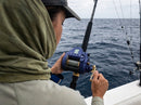 Carretilha Elétrica Daiwa Seapower 800 em uso: brigando com o peixe, vara dobrada