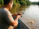 Carretilha Shimano Calcutta Conquest MD em uso: brigando com o peixe, vara dobrada